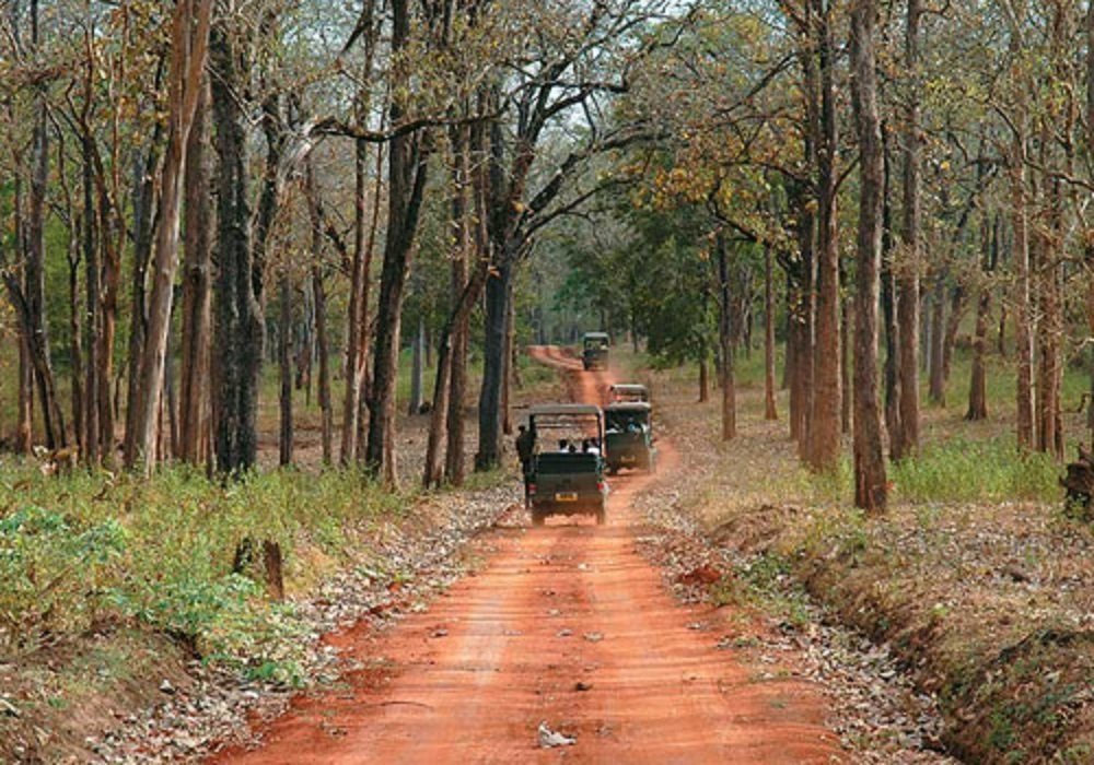 Kabini <br>Tour Package