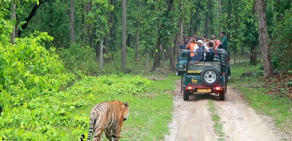 Bandipur-1536×744