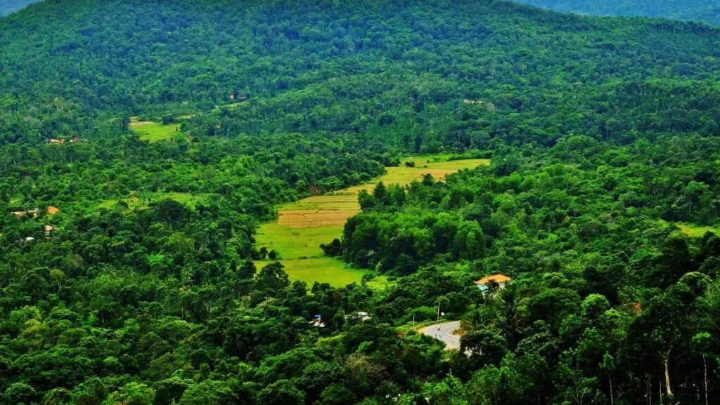 Best-Places-to-Visit-in-Coorg-Karnataka-1024×577