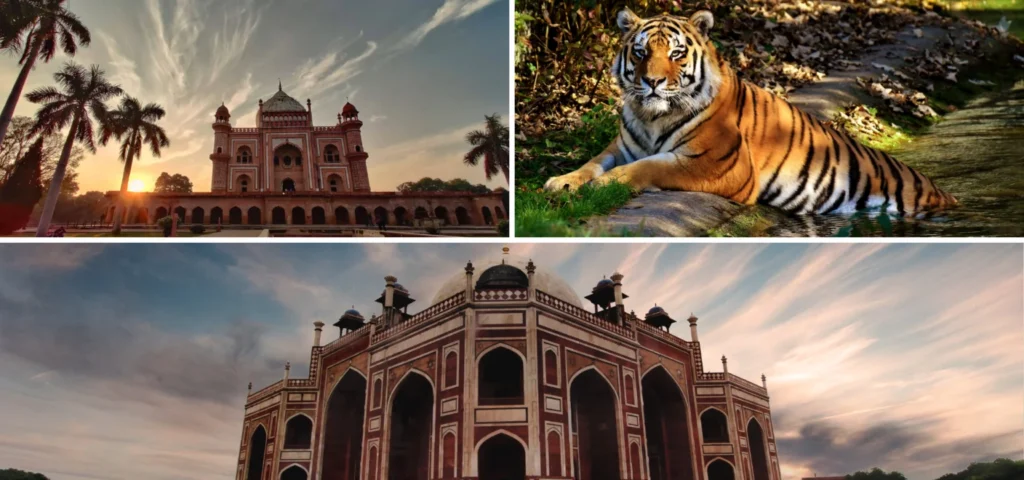 Ranthambore-Special-Tour-Package-1536×720