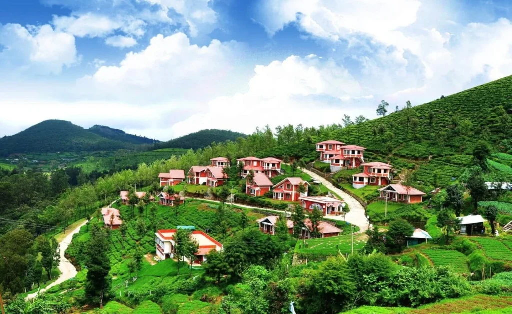 ooty-1