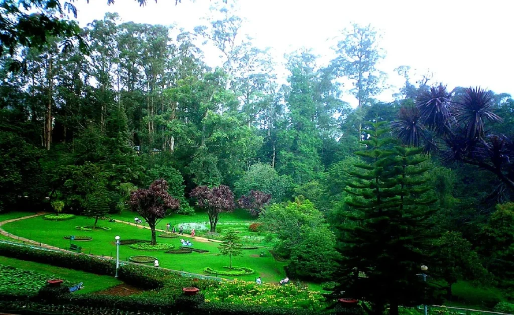 ooty-3